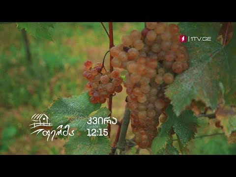 „ფერმა“ - 10 ნოემბერს, 12:15